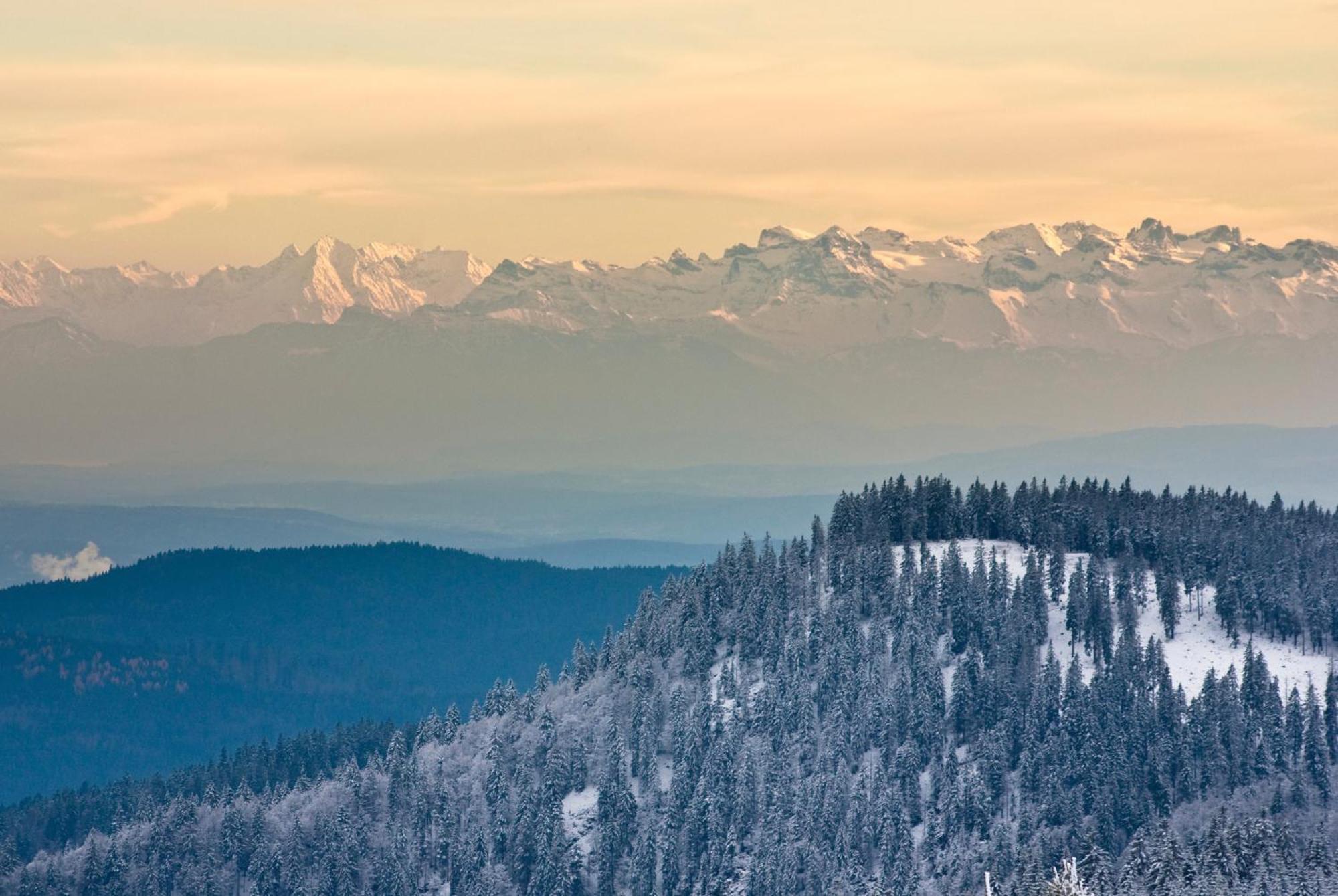 Residenz Grafenmatt "Abendsonne" Daire Feldberg  Dış mekan fotoğraf